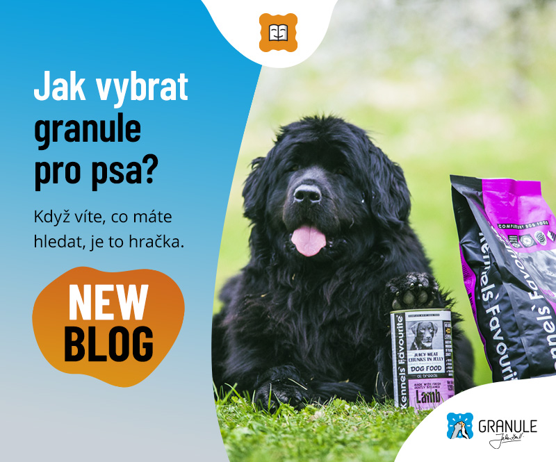 Jak vybrat granule pro psa?