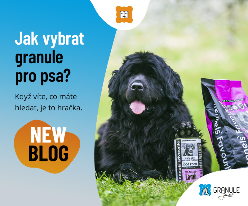 Jak vybrat granule pro psa?
