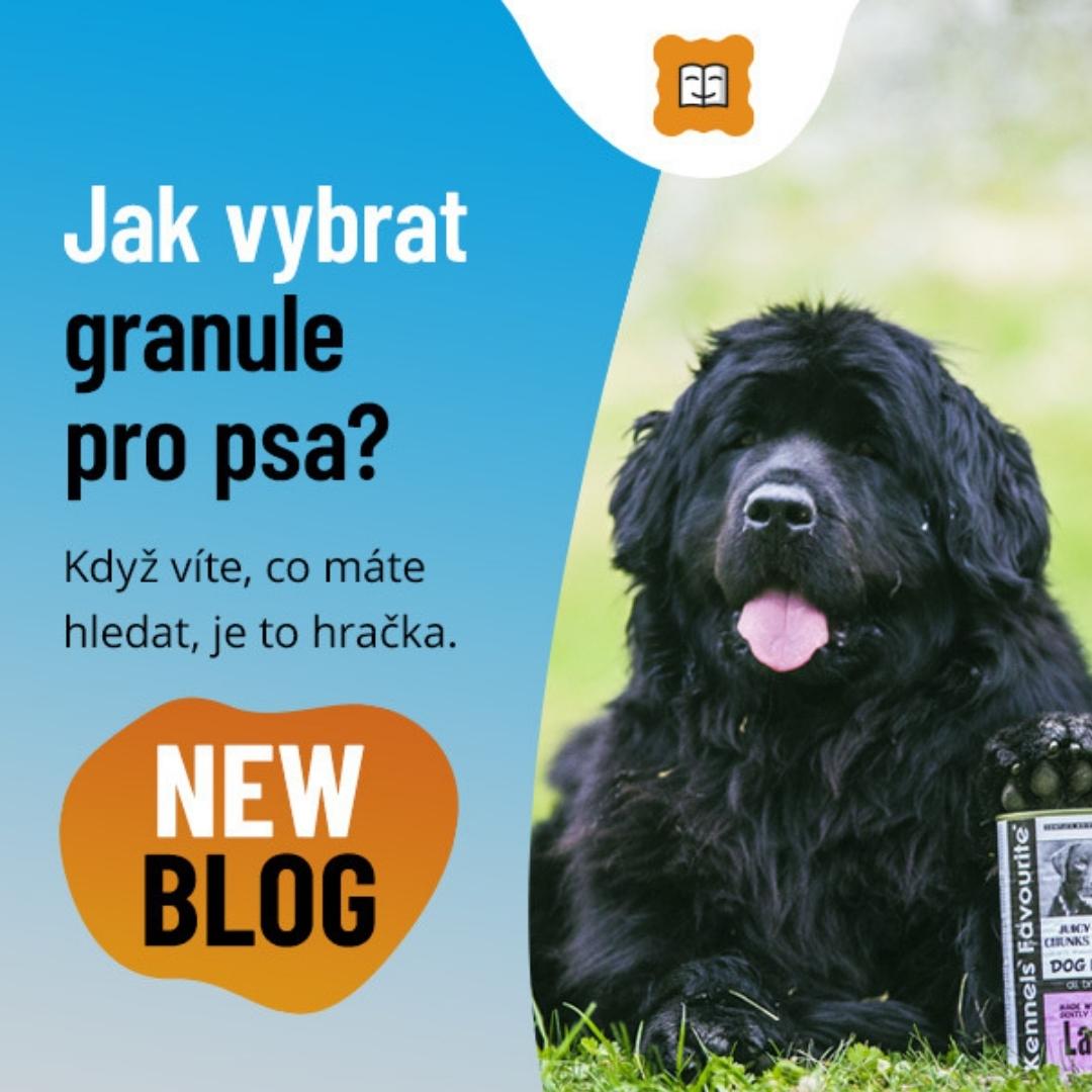 Jak vybrat granule pro psa?