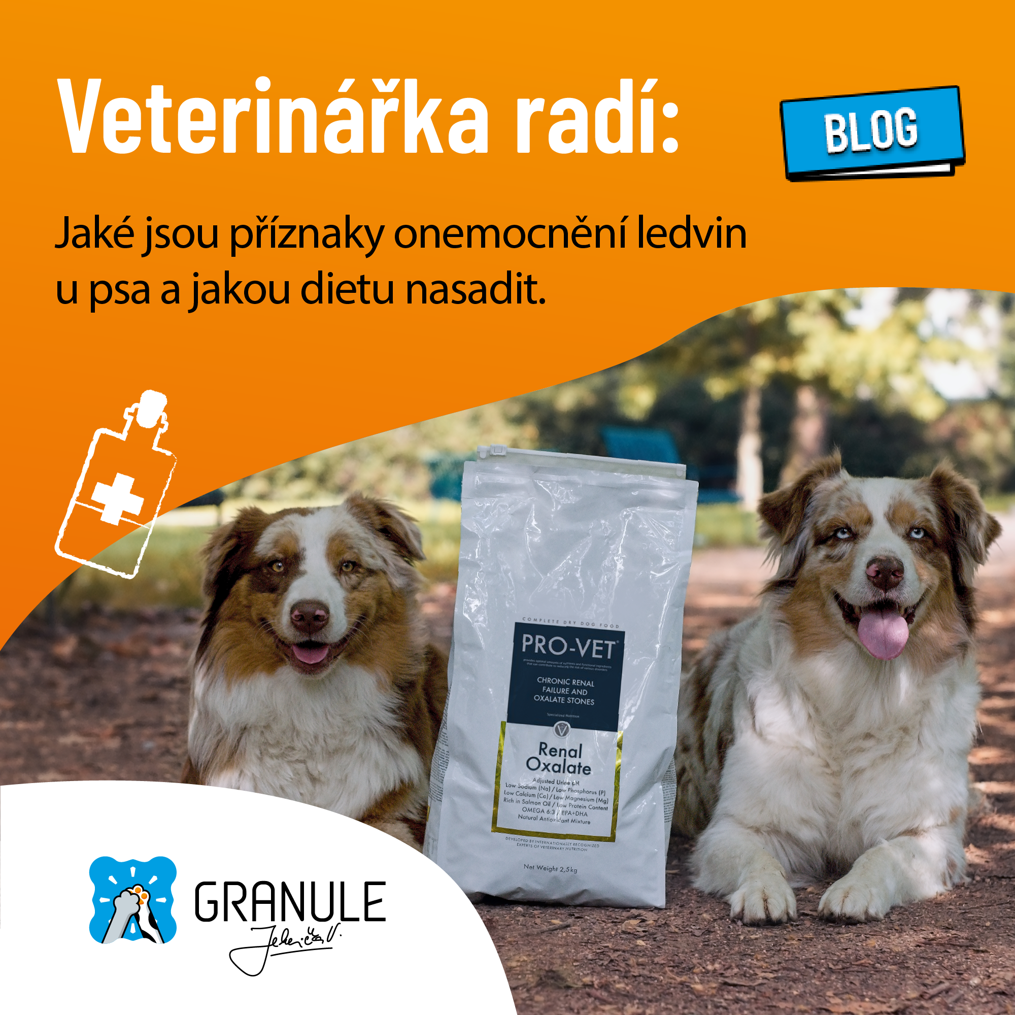 Veterinářka radí: Jaké jsou příznaky onemocnění ledvin u psa a jakou dietu nasadit