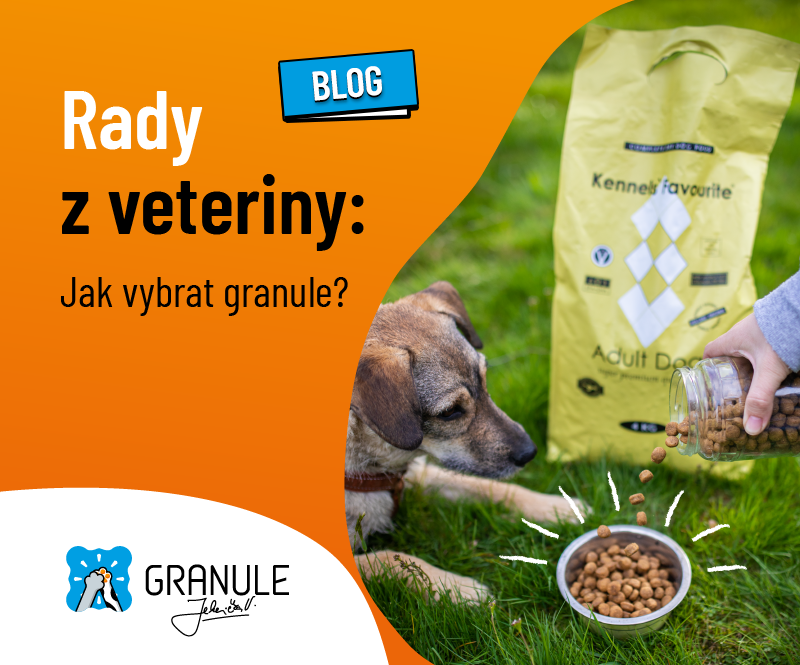 Veterinární sestřička radí: Jaké jsou nejlepší granule pro psy, jak je vybrat a čemu se vyhnout