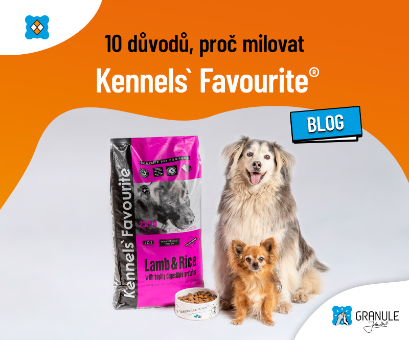 10 důvodů, proč bude váš pes milovat superprémiové krmivo Kennels' Favourite