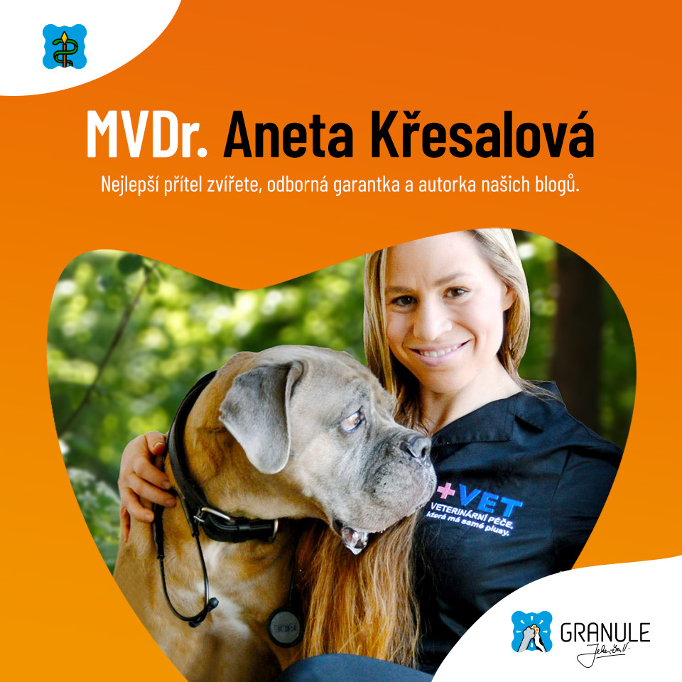Ze života veteriny - MVDr. Aneta Křesalová