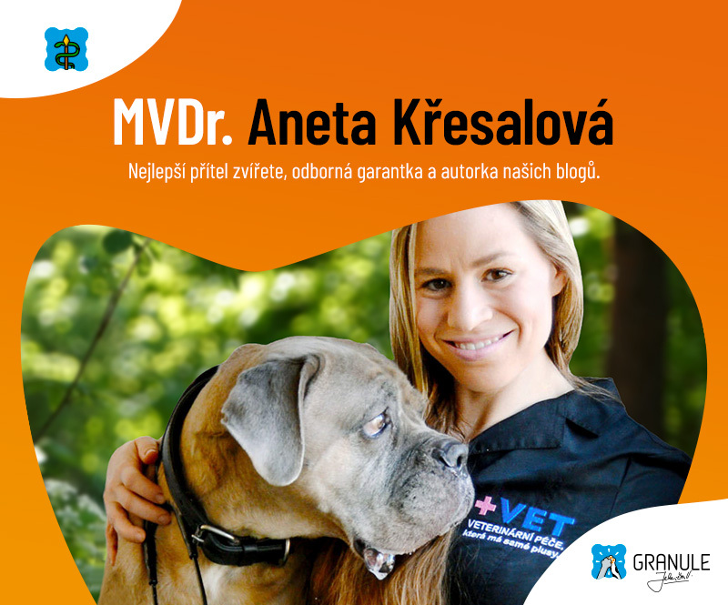 Ze života veteriny - MVDr. Aneta Křesalová