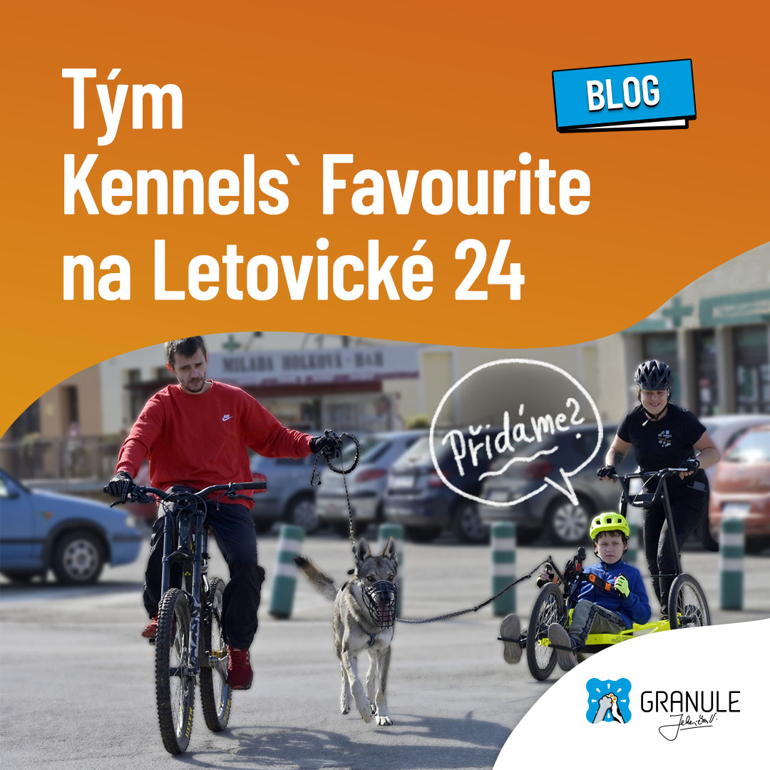 Vzpomínky na letní Letovickou 24 s týmem Kennels' Favourite