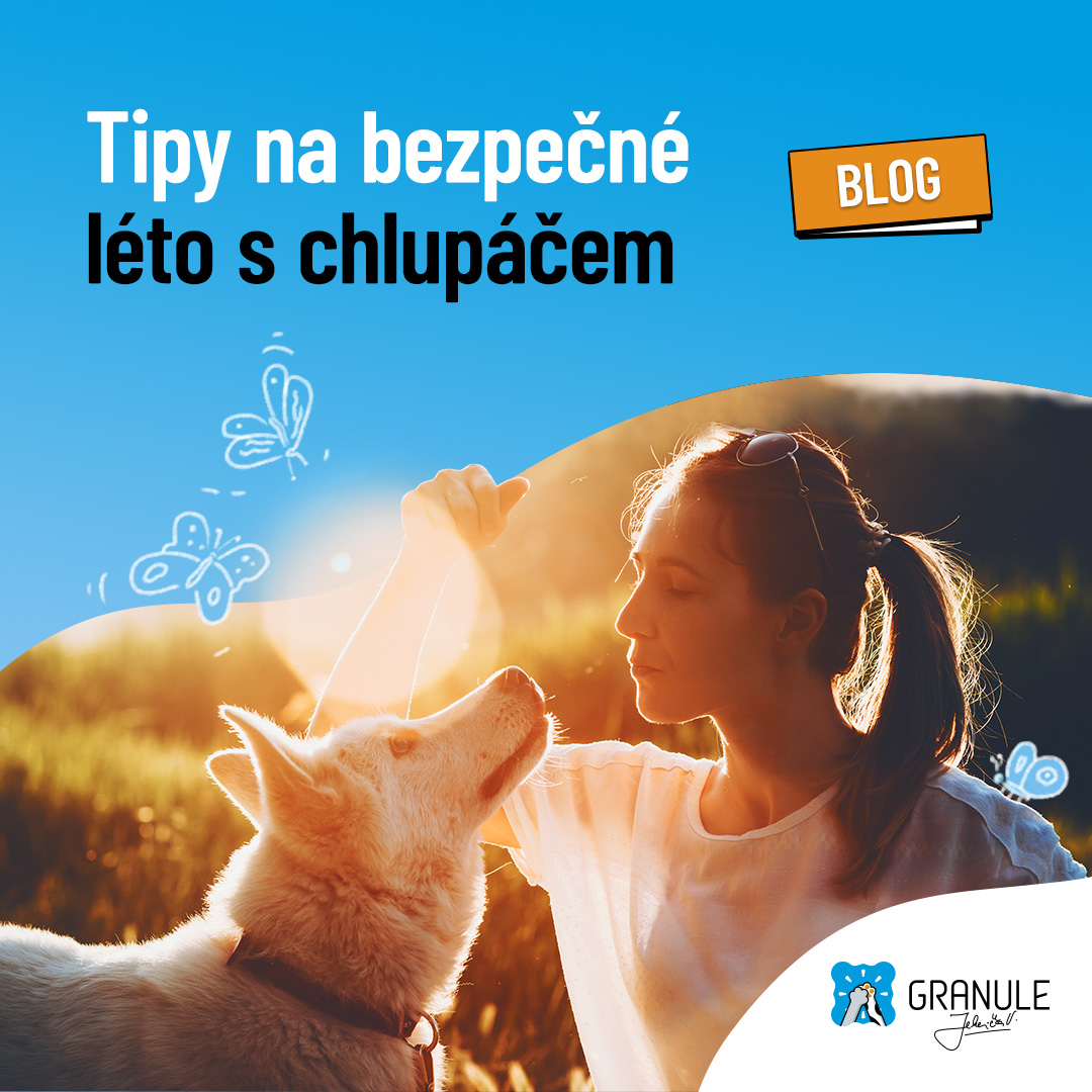 Tipy na bezpečné léto se psem: Co nikdy nedělat při přehřátí?