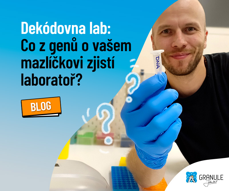 Genetické testování zvířat nebo DNA test pro psy a kočky