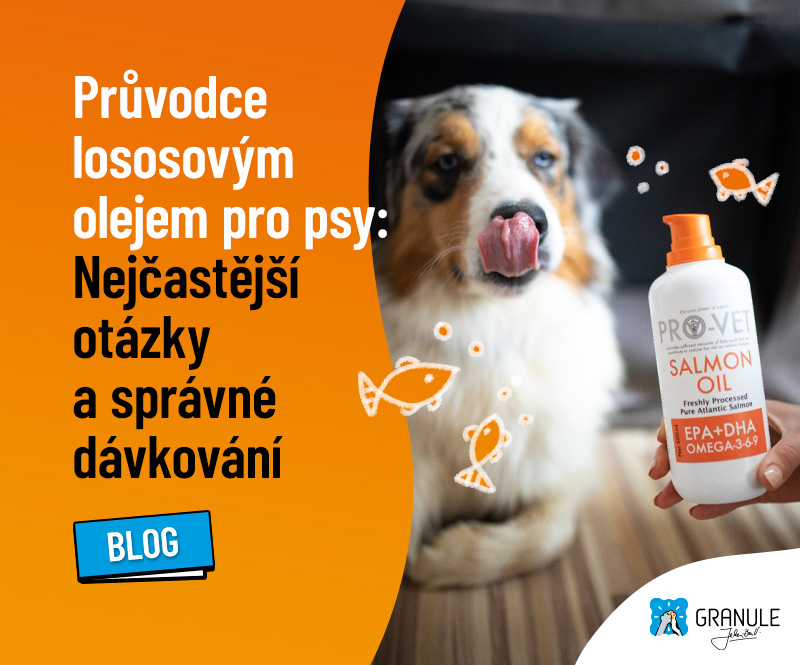 Kompletní průvodce lososovým olejem: Jak na správné dávkování?
