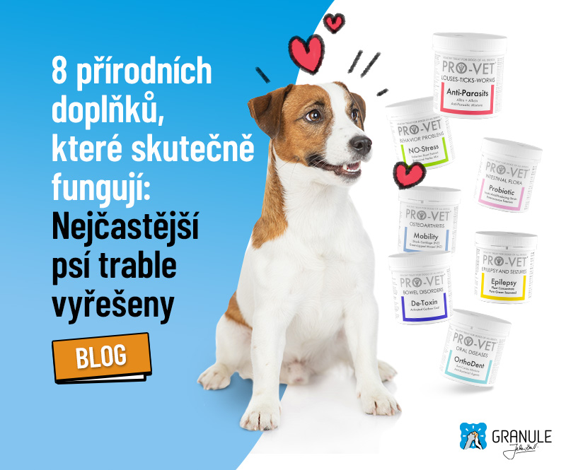Psí trable vyřešeny: 8 přírodních doplňků, které skutečně fungují