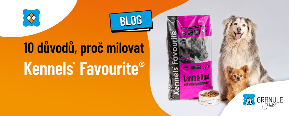 10 důvodů proč milovat Kennels´ Favourite
