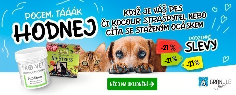 NO-Stress Vánoce akce