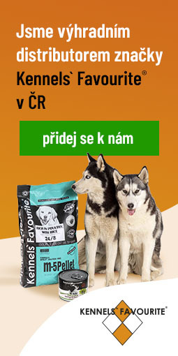 Velkoobchod