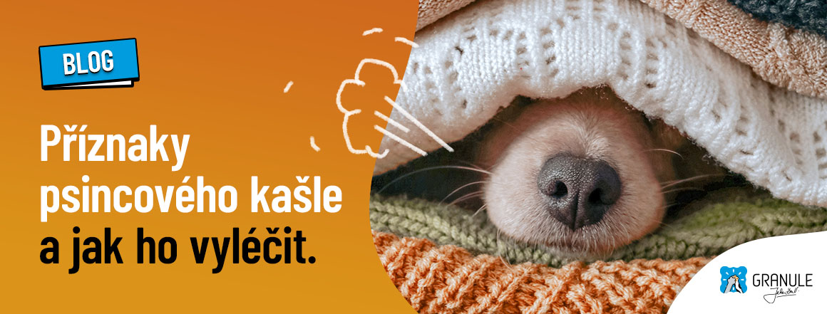 Psincový kašel