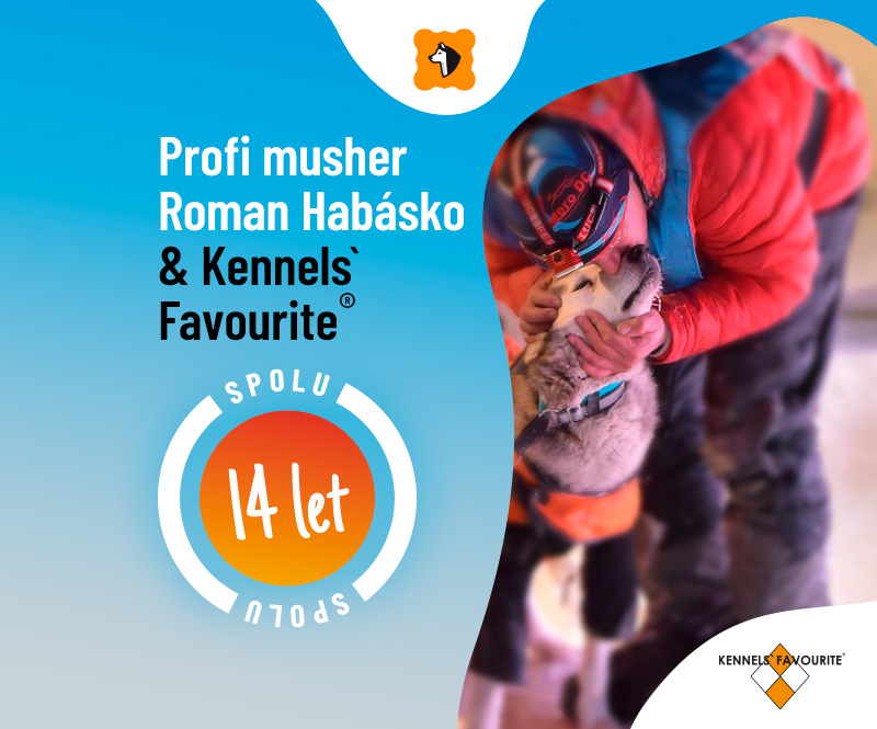 Habásko BLOG NEW mobil