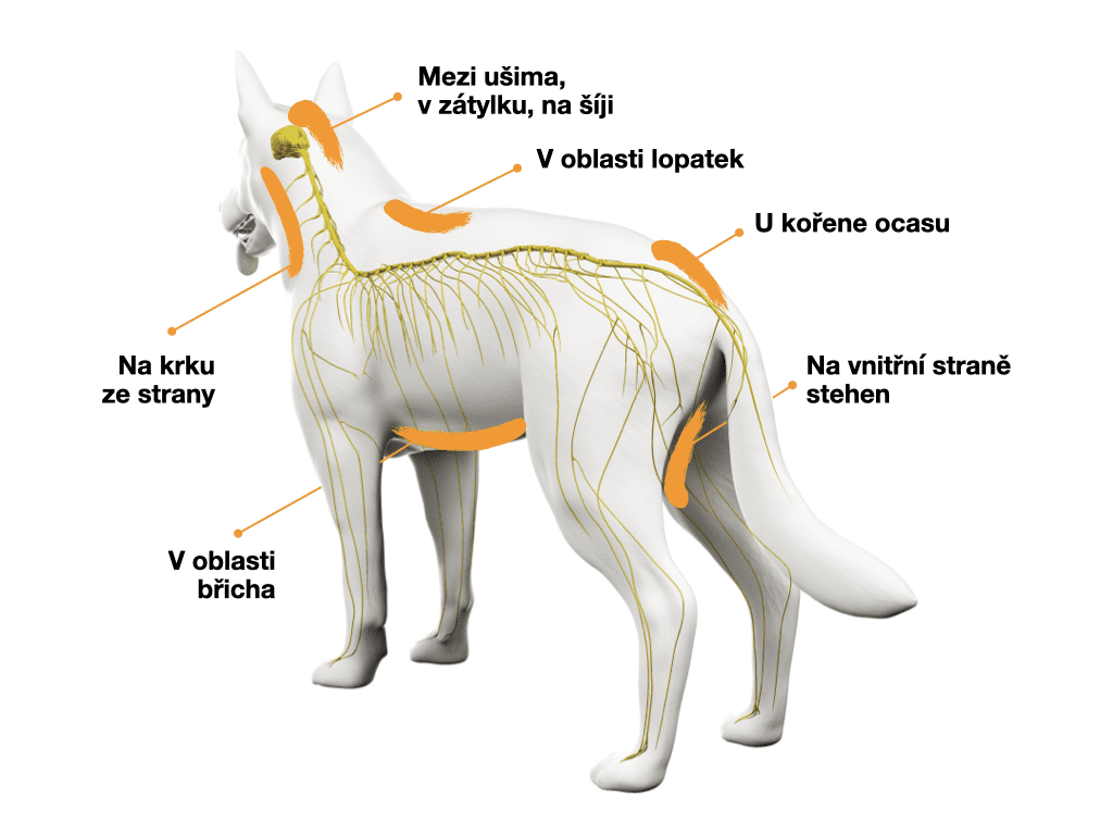 CZ-mista-aplikace-pripravku