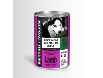 web Kennels Favourite 410g Lamb