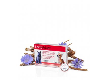 lactoadapt23