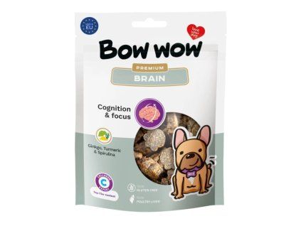 brain 1