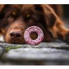 Psí donut  čerstvě napečeno s obsahem superpotravin
