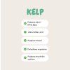 kelp
