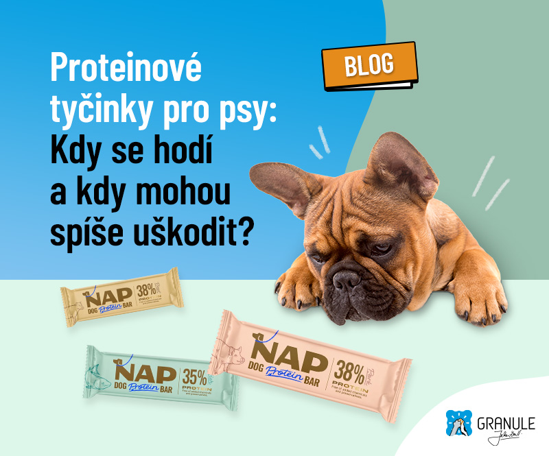 Proteinové tyčinky pro psy: Kdy se hodí a kdy mohou spíše uškodit?