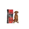 Kennels' Favourite Active Rings