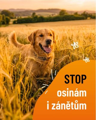 Krásná procházka vysokou 🌾 trávou často končí obavou z travních osin. Noční můra každého chovatele. Ale! Mnoho z vás nám...