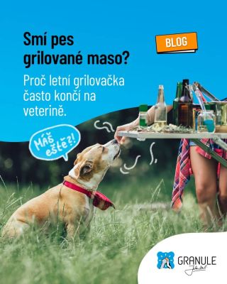 Tohle mu z talíře NIKDY nedávejte, i kdyby dělal ty nejsmutnější psí 🐶 👀oči na světě. 🛑👇 Letní🍗🥩 grilovačky jsou v plném...