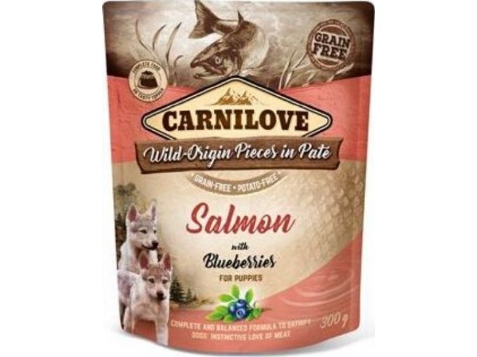 Carnilove Dog Pouch Paté Salmon & Blueber Puppies 300g