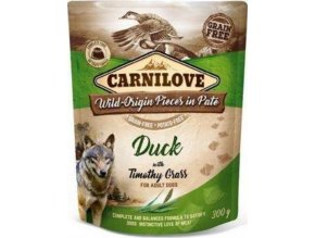 Carnilove Dog Pouch Paté Duck & Timothy Grass 300g