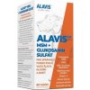 Alavis MSM+Glukosamin sulfát pro psy 60tbl