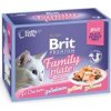 Brit Premium Cat D Fillets in Jelly Family Plate 1020g