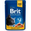 Brit Premium Cat kapsa with Salmon & Trout 100g