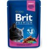 Brit Premium Cat kapsa with Chicken & Turkey 100g