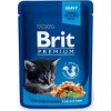 Brit Premium Cat kapsa Chicken Chunks for Kitten 100g