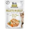 Brit Care Cat Fillets in Jelly with Trout&Cod 85g