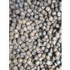 Carpe Extrudé 9 - 9,5mm (rozvažované)