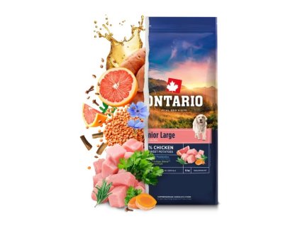 Ontario Senior Large Chicken & Sweet Potatoes
