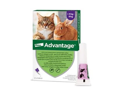Advantage pro velké kočky a králíky 80mg 4x0,8ml