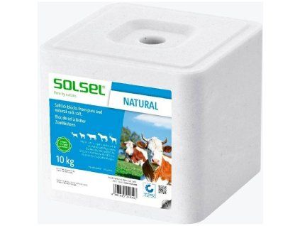 c5cfbc5f 1f26 41d4 828a 14023246333a