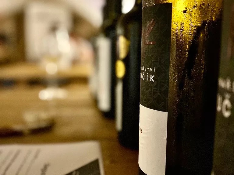Řízená degustace vín Vinařství Fučík v Grape & Sour