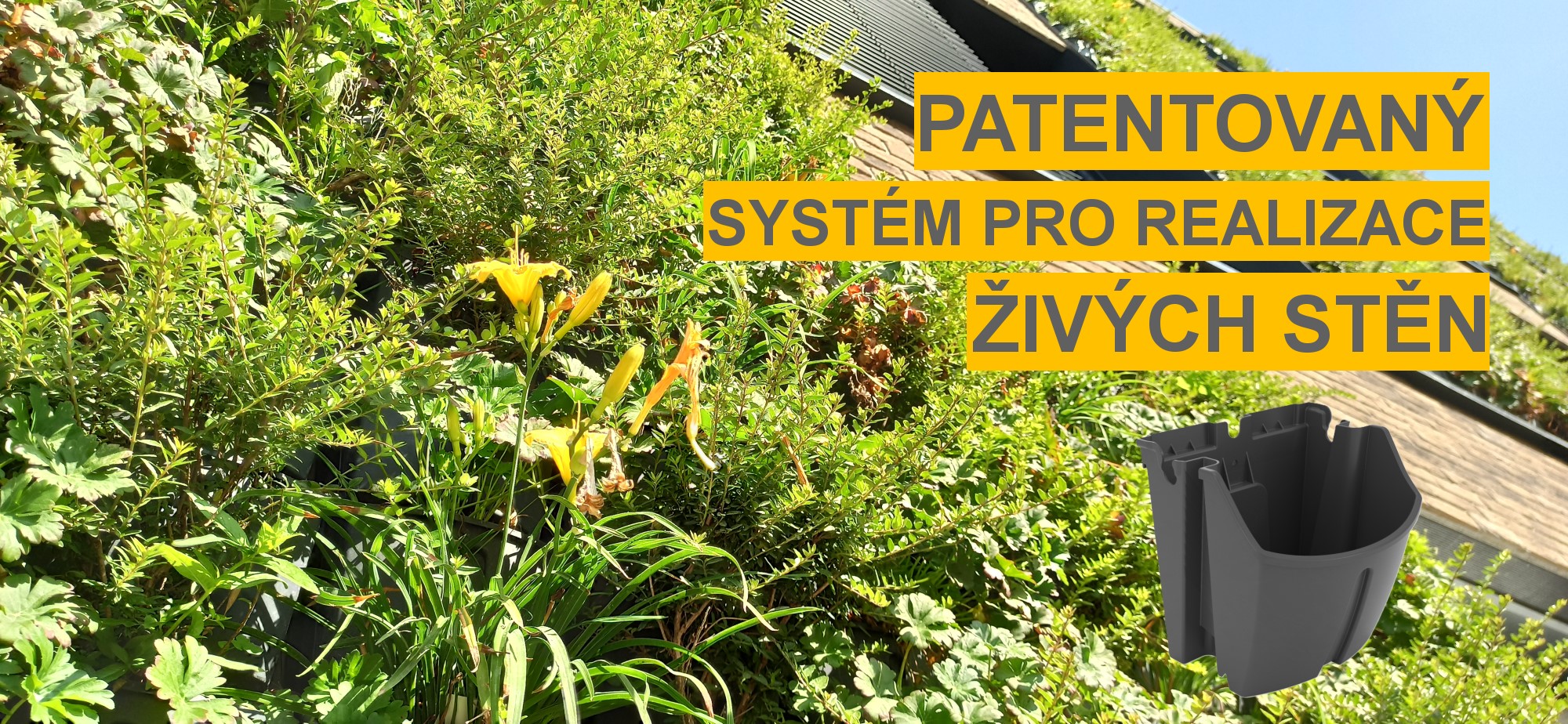 Systém pro realizaci živých stěn