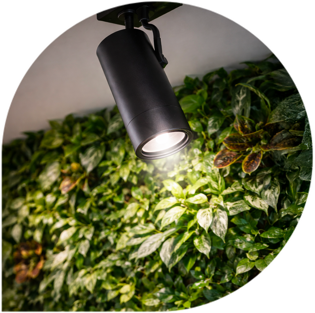 co zahrnuje systém Graseko