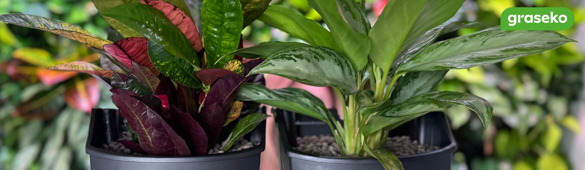 vertikální zahrada svépomocí