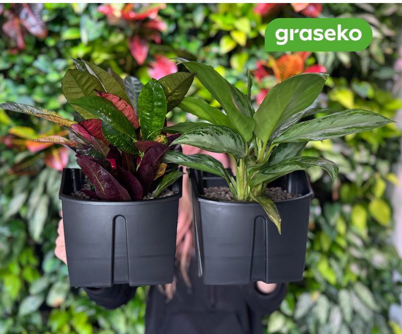 vertikální zahrada svépomocí