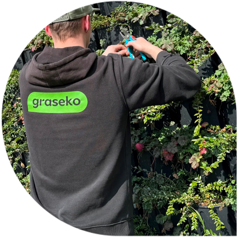 automatická závlaha vertikální zahrady