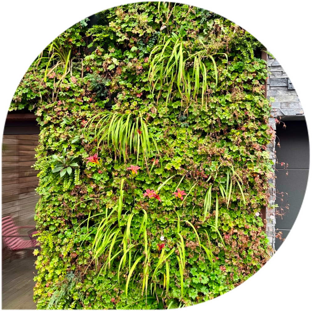 Vertikální zahrada Graseko