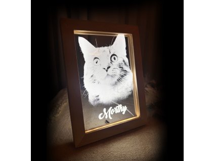 0D3DD09B BFA1 4804 8ABF 4F2732A229D8