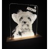 Gravírovaná led lampa s fotkou  a LED podsvietením