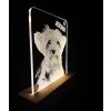 Gravírovaná led lampa s fotkou  a LED podsvietením